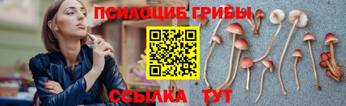 Псилоцибиновые грибы Cubensis Ульяновск