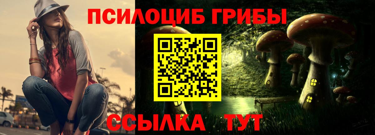 Псилоцибиновые грибы Psilocybe  Псилоцибиновые грибы Psilocybine cubensis  Вход с VPN  Ульяновск 