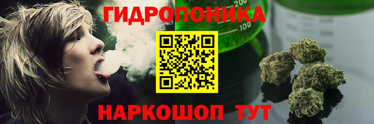 Шишки марихуана марихуана  МАРИХУАНА OG Kush  Бошки марихуана THC 21%  Вход с VPN  Ульяновск  Каннабис индика 